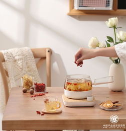 养生壶怎么选？鸣盏养生煮茶器带你开启品质养生之路